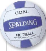 Spalding Goal Netball