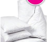 Feather Down Queen Duvet Inner