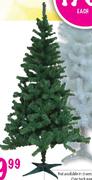 Colorado Tree-180cm-Each