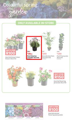 Leroy Merlin : Live Love Garden (02 August - 03 September 2024), page 2