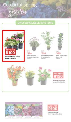 Leroy Merlin : Live Love Garden (02 August - 03 September 2024), page 2