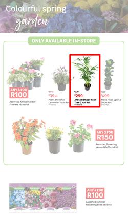 Leroy Merlin : Live Love Garden (02 August - 03 September 2024), page 2