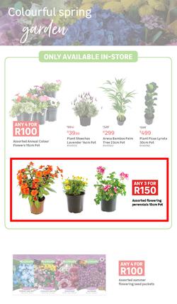 Leroy Merlin : Live Love Garden (02 August - 03 September 2024), page 2