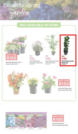 Leroy Merlin : Live Love Garden (02 August - 03 September 2024), page 2