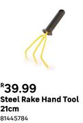 Steel Rake Hand Tool 21cm 81445784