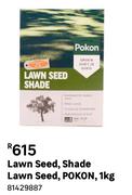 Pokon Lawn Seed, Shade Lawn Seed 1Kg 81429887