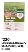 Pokon Lawn Seed Recovery Seed 500g 81430025