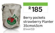 Berry Pockets Strawberry Planter 35cm x 45cm