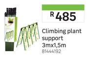 Climbing Plant Support 3m x 1.5m