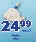 Prolar Map-Each