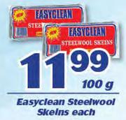 Easyclean Steel Wool Skelns-100g Each