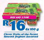 Clover Fruits Of the Forest Smooth Yoghurt-2x6x100g 