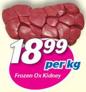 Frozen Ox Kidney-Per kg