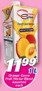 Orange Groove Fruit Nectar Blend-1ltr Each
