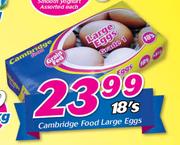 Cambridge Food Large Eggs-18's