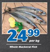 Butchery Whole Mackeral Fish-Per Kg