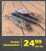 Frozen Maasbanker-Per Kg