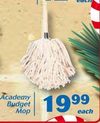 Academy Budget Mop-Each
