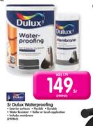 5L Dulux Waterproofing