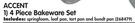 Accent 4-Piece Bakeware Set