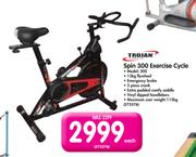 Trojan Spin 300 Exercise Cycle 300