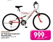 Raleigh peak mountain bike discount