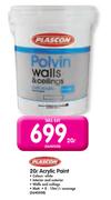 Plascon 20L Acrylic Paint