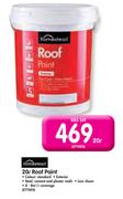 20L Roof Paint