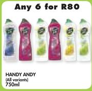 Handy Andy(All Variants)-6x750ml