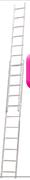 Gravity 9m Extension Ladder DMS780
