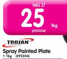 Trojan 1Kg Spray Painted Plate