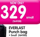 Everlast Small Punch Bag