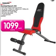 Trojan Dumbell Bench 210