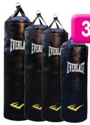 Everlast Medium Punch Bag
