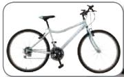 Totem 29" XC100 Mountain Bike