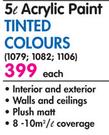 Plascon 5L Acrylic Paint-Each