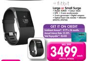 Fitbit Large Or Small Surge-Each