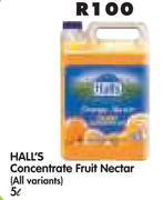 Hall's Concentrate Fruit Nectar(All Variants)-5L