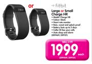 Fitbit Large Or Small Charge HR