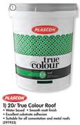 Plascon 20L True Colour Roof-Each
