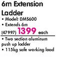 Gravity 6m Extension Ladder DMS600-Each