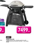 Weber Q3000 Gas Grill
