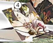 A5 Card