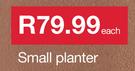 Small Planter