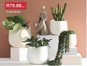 Large Planter