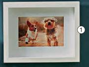 Gallery Frames 10 x 15cm-Each