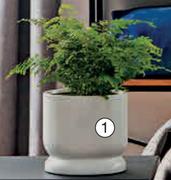 Ceramic Planter