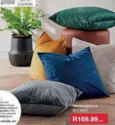 Velvet Cushions 50 x 50cm- Each