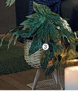 Large Grass Woven Planter