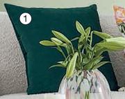 Velvet Cushions 50 x 50cm-Each